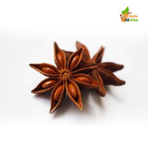 Etoile anise